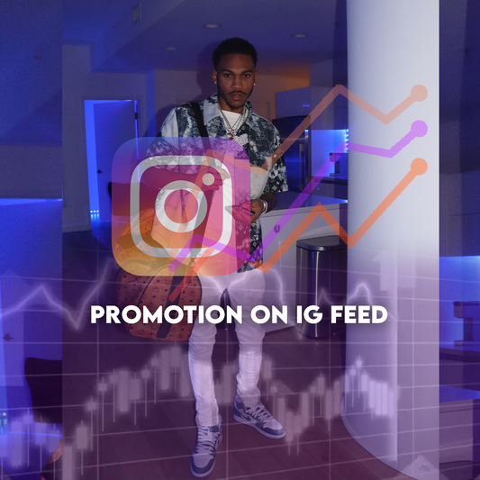 Instagram Promotion (24 Hour)